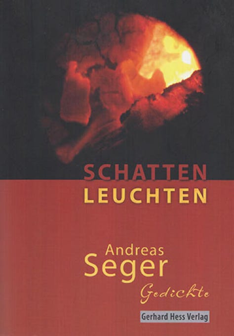 Das Buch Schattenleuchten